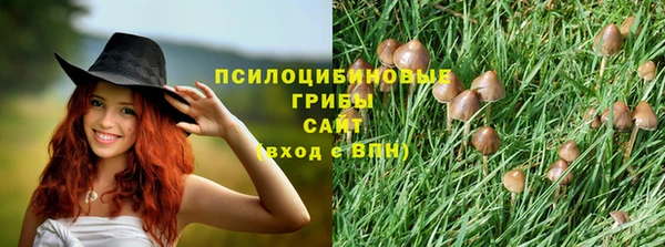 марки nbome Ельня