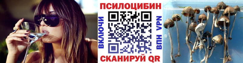 Псилоцибиновые грибы MAGIC MUSHROOMS  Королёв 